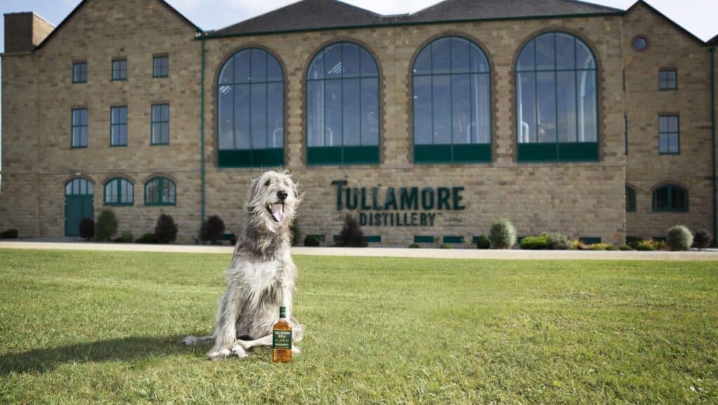 Tullamore DEW Whiskey Irish Wolfhound