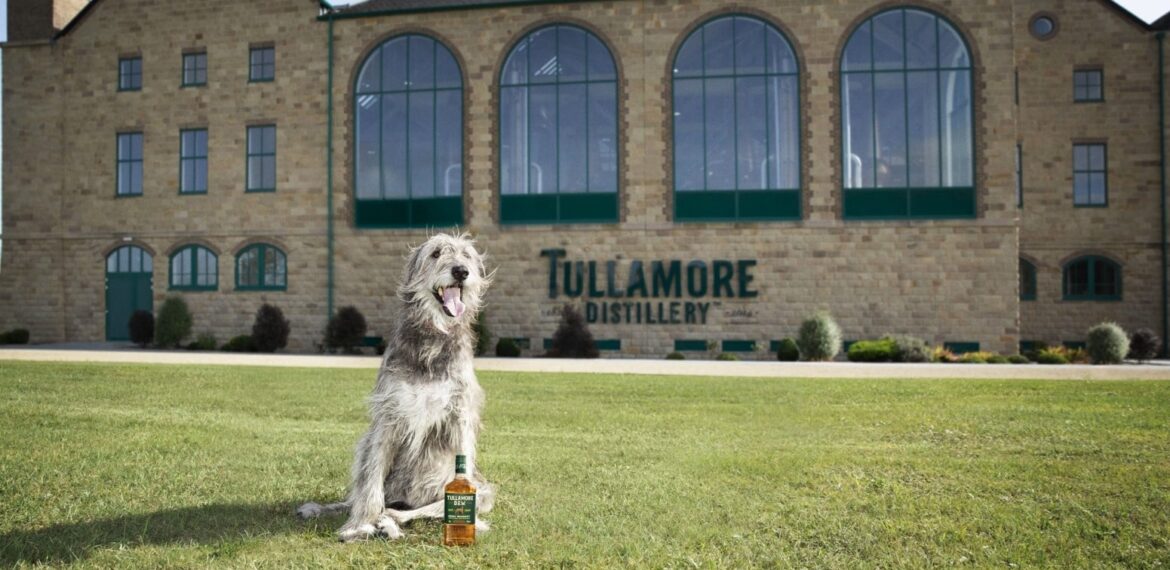 Tullamore DEW Whiskey Irish Wolfhound