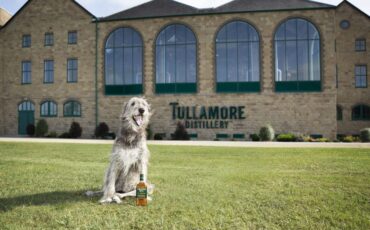 Tullamore DEW Whiskey Irish Wolfhound