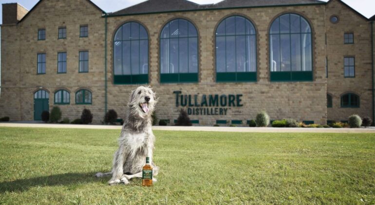 Tullamore DEW Whiskey Irish Wolfhound